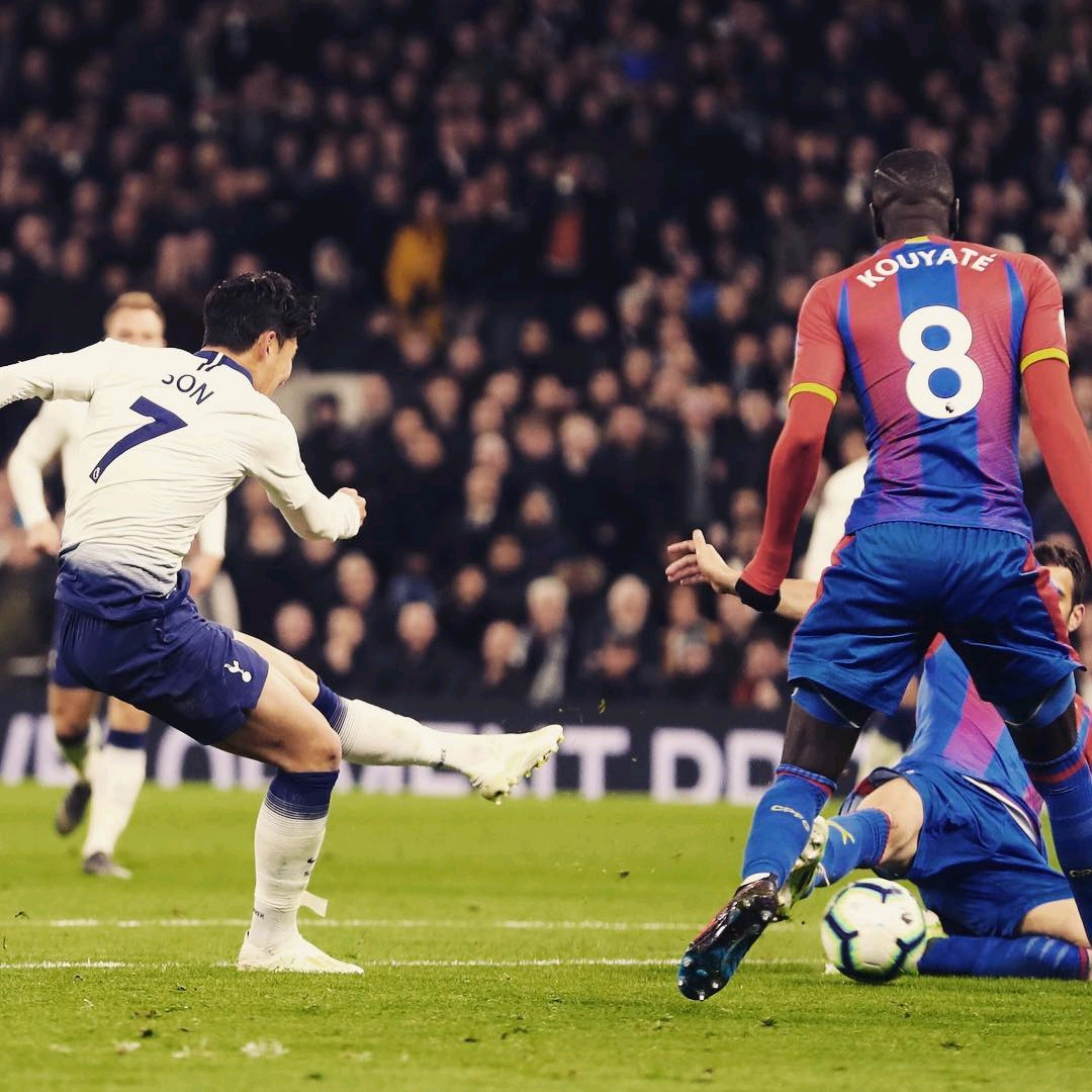 专业的态度 专业的态度